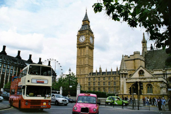 Picture
